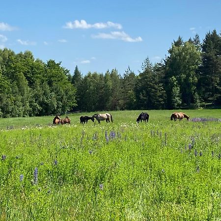 Koziula - Domki I Lesne Spa Na Kaszubach Пшивидз Экстерьер фото