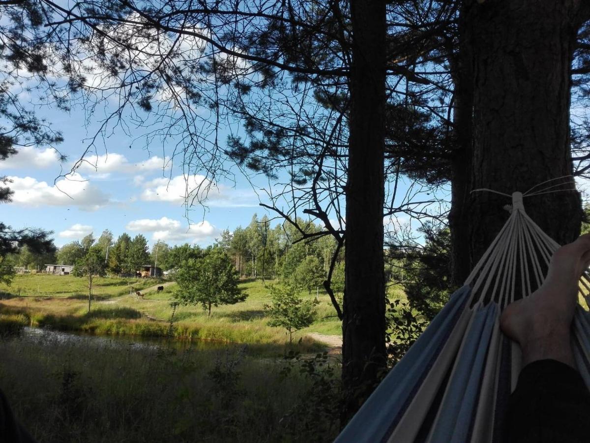 Koziula - Domki I Lesne Spa Na Kaszubach Пшивидз Экстерьер фото