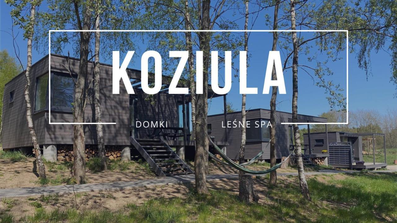 Koziula - Domki I Lesne Spa Na Kaszubach Пшивидз Экстерьер фото