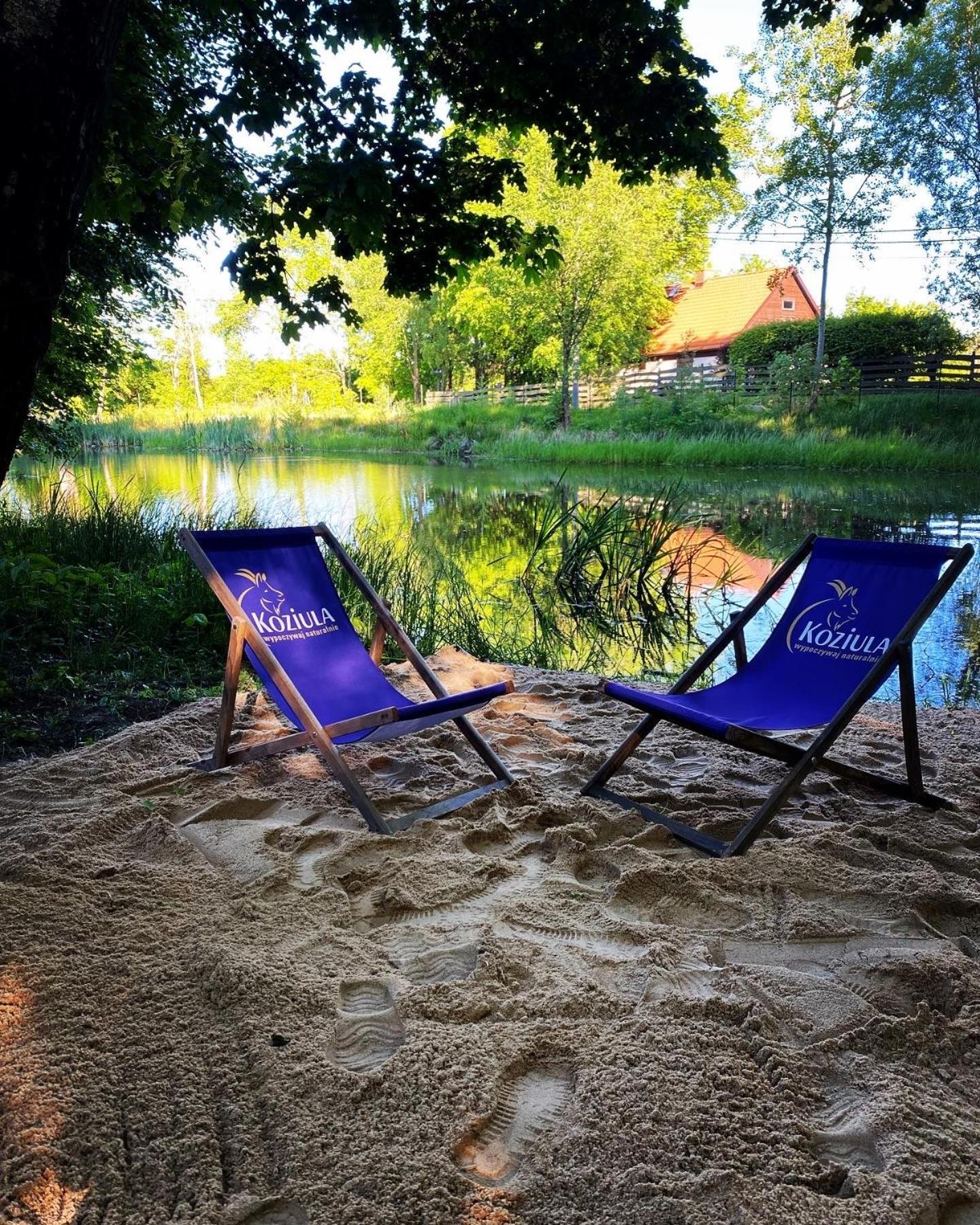 Koziula - Domki I Lesne Spa Na Kaszubach Пшивидз Экстерьер фото